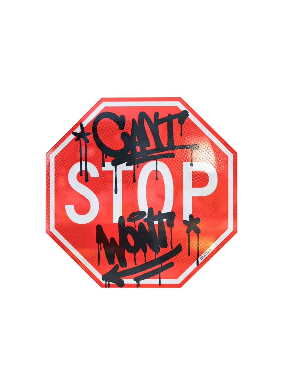 CAN'T STOP WONT STOP - Image 3